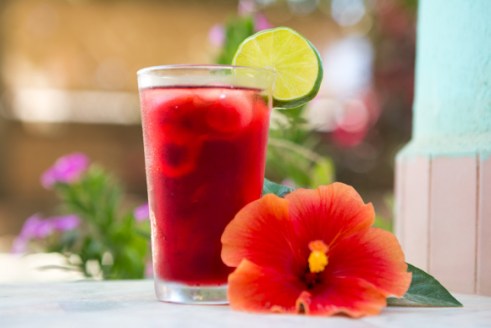 jamaica-agua-fresca-5